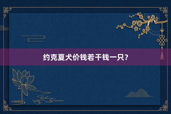 约克夏犬价钱若干钱一只?